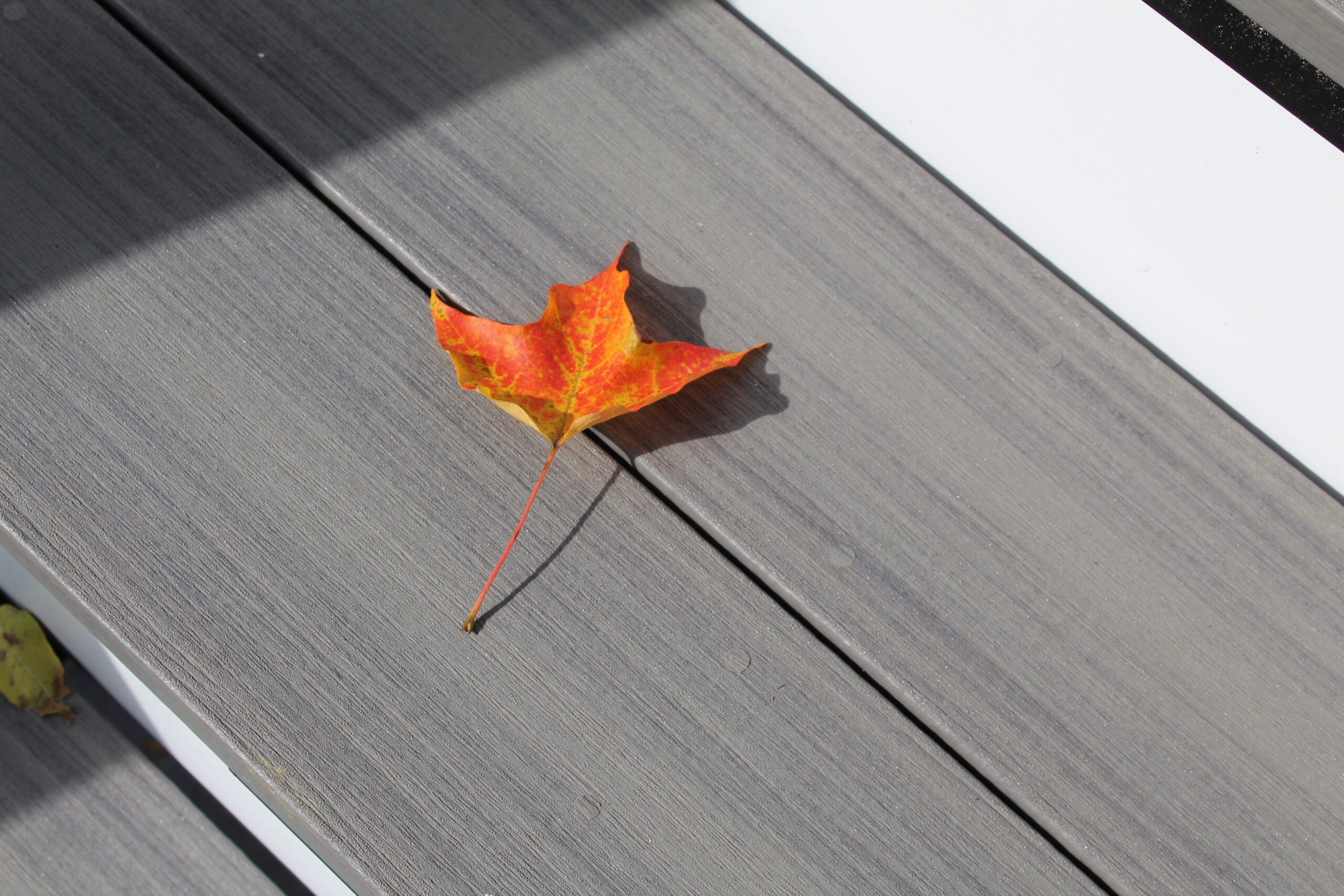 Durable and Stylish Composite Materials for Pool Decking